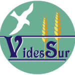 LOGO-VIDESSUR-PNG