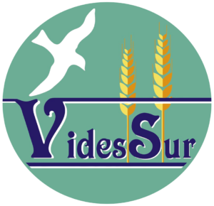 LOGO-VIDESSUR-PNG
