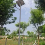 4 | FUNDACION MADRESELVA
